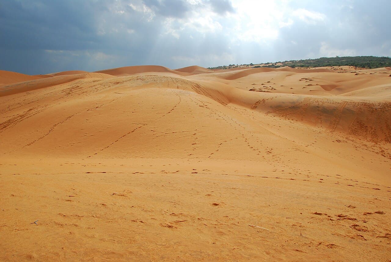 호치민/무이네 풍경